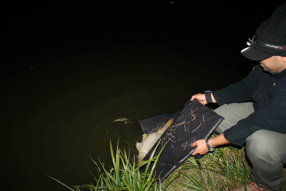 Moara Vlasiei 2 12 - 13 oct. - 139661110151891962852348711327595n.jpg